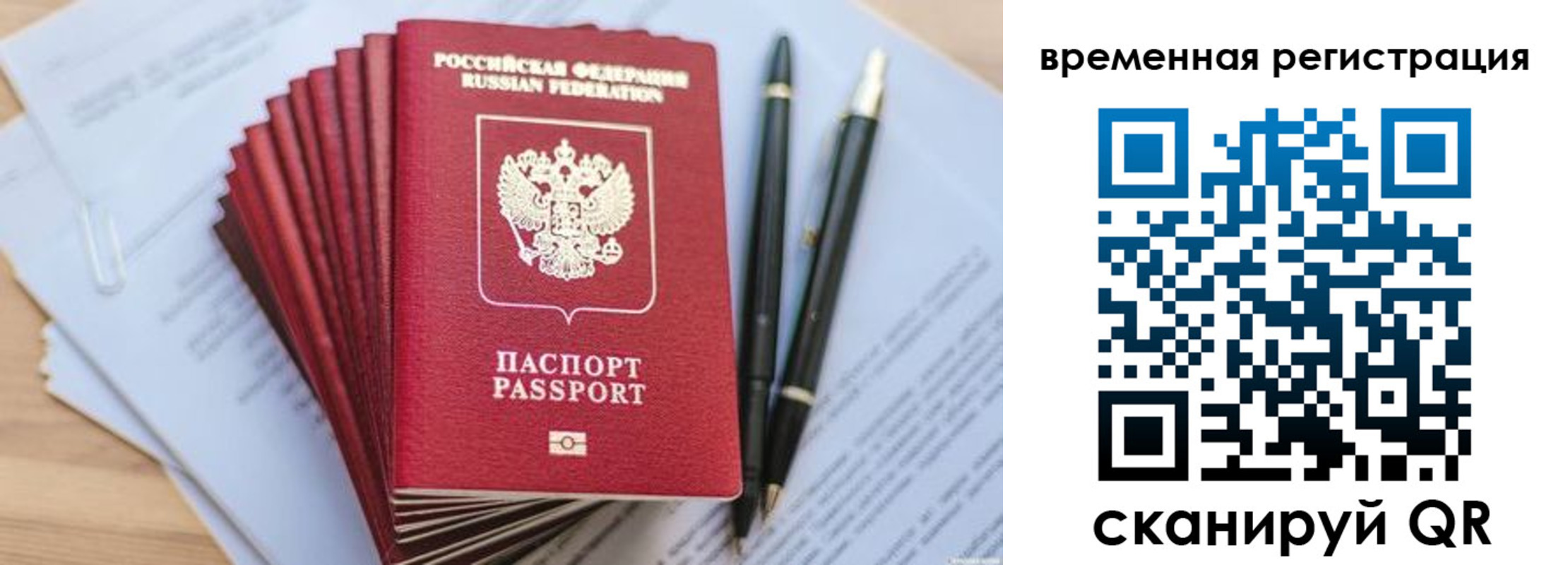 регистрация для школы в Луге